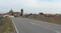 Imagen de SAUQUILLO DE CABEZAS