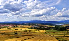 Imagen de ABEJAR