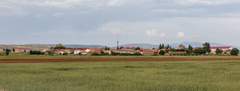 Imagen de CANDILICHERA