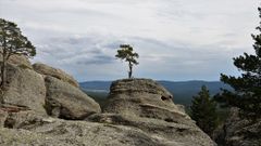 Imagen de DURUELO DE LA SIERRA