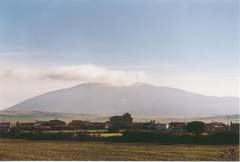 Imagen de MATALEBRERAS