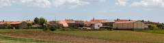 Imagen de NAFRÍA DE UCERO