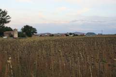 Imagen de VILLASECA DE ARCIEL
