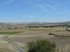 Imagen de AMUSQUILLO