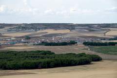 Imagen de BERCERO