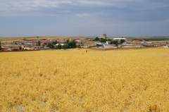Imagen de BOBADILLA DEL CAMPO