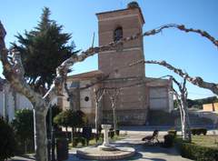 Imagen de MORALEJA DE LAS PANADERAS