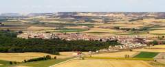 Imagen de PESQUERA DE DUERO