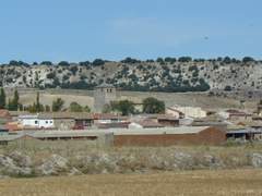 Imagen de PIÑA DE ESGUEVA