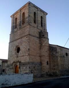 Imagen de RÁBANO