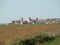 Imagen de TAMARIZ DE CAMPOS