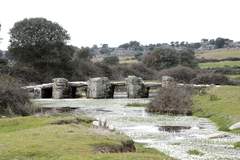 Imagen de ALMEIDA DE SAYAGO