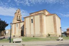 Imagen de CAÑIZO