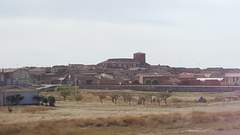 Imagen de CERECINOS DE CAMPOS