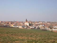 Imagen de MORALES DEL VINO